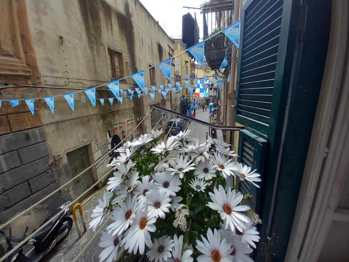 Maison Seviglie * Napoli